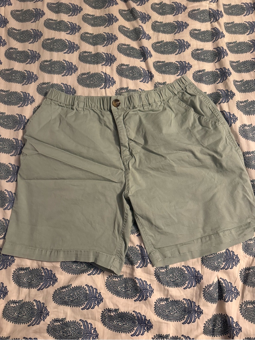 Light Sage Flat-Front Men's Shorts with Elastic Waist
